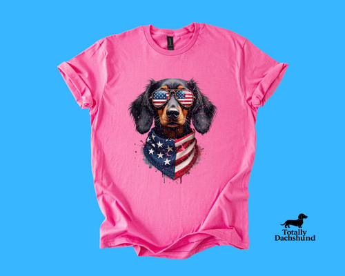 All-American Pup – Patriotic Dachshund Sunglasses & Bandana