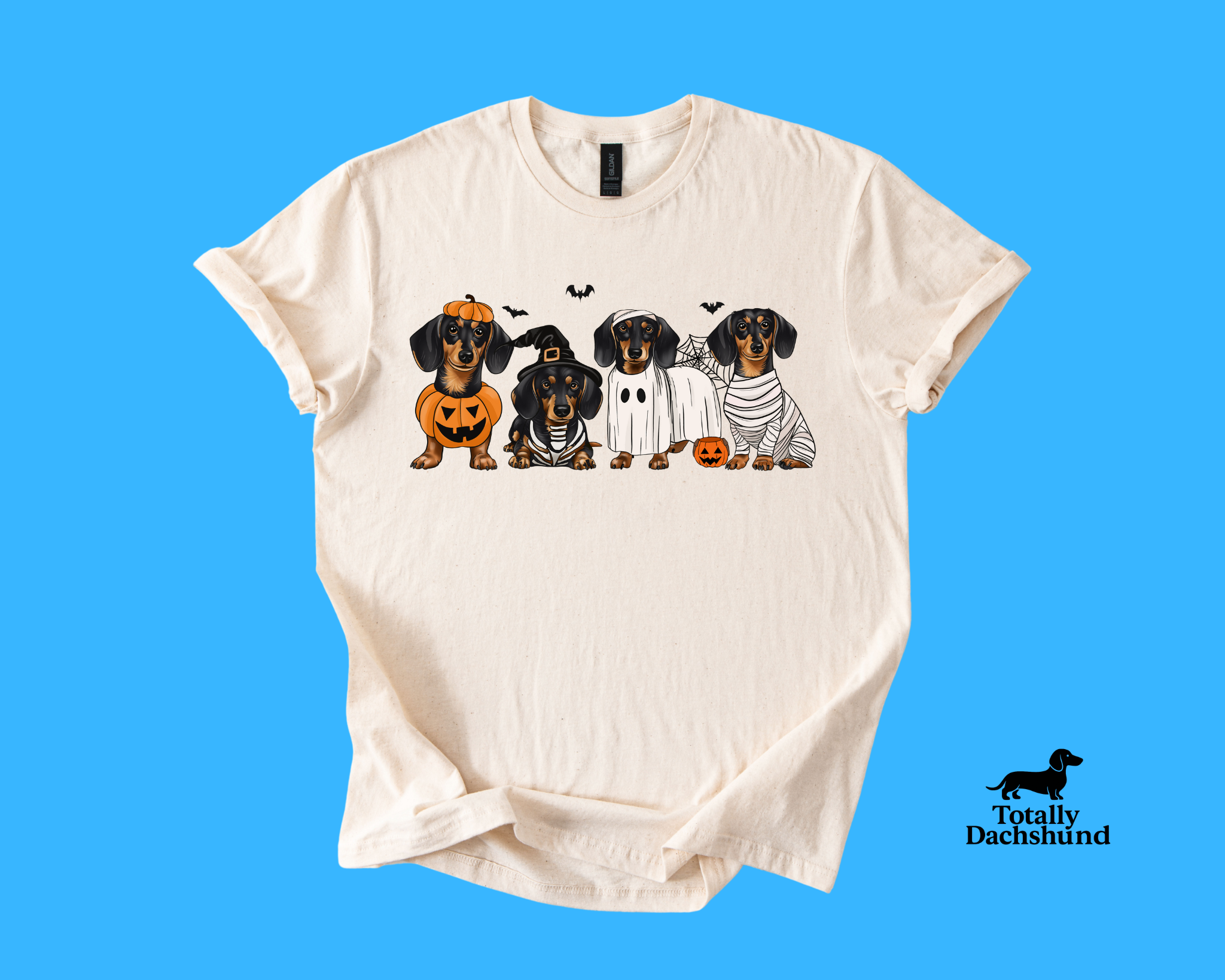 Spooky & Adorable – Dachshund in Halloween Costumes