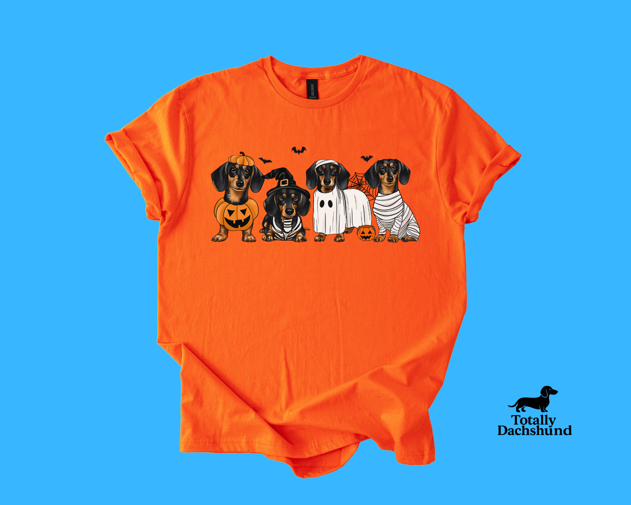 Spooky & Adorable – Dachshund in Halloween Costumes